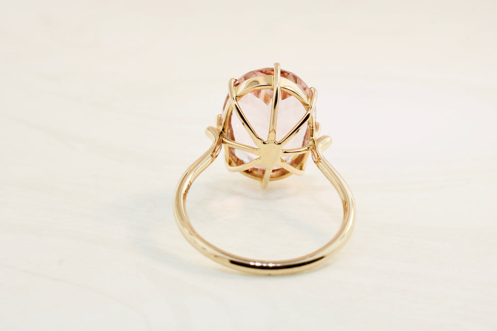 Audra Morganite 8 Prong Solitaire Ring-Rings-Nari Fine Jewels-Nari Fine Jewels