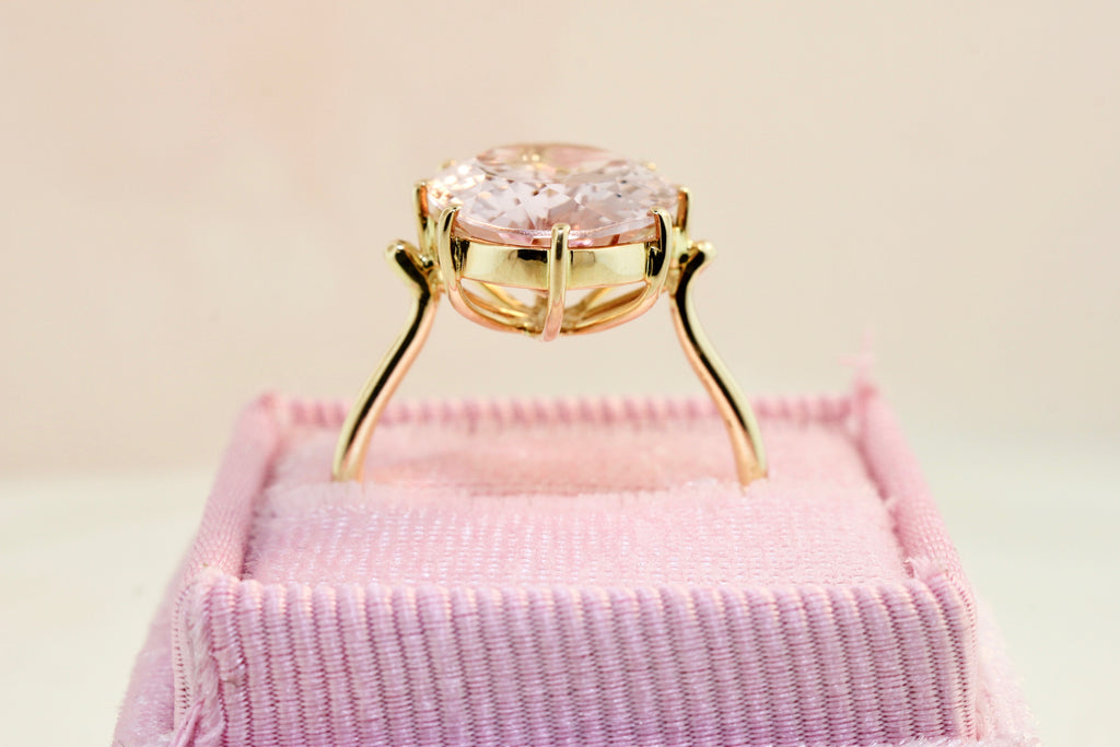 Audra Morganite 8 Prong Solitaire Ring-Rings-Nari Fine Jewels-Nari Fine Jewels